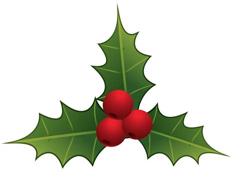 free images of mistletoe